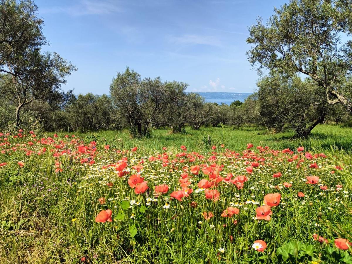 Meridiano 12 Bolsena Eksteriør billede