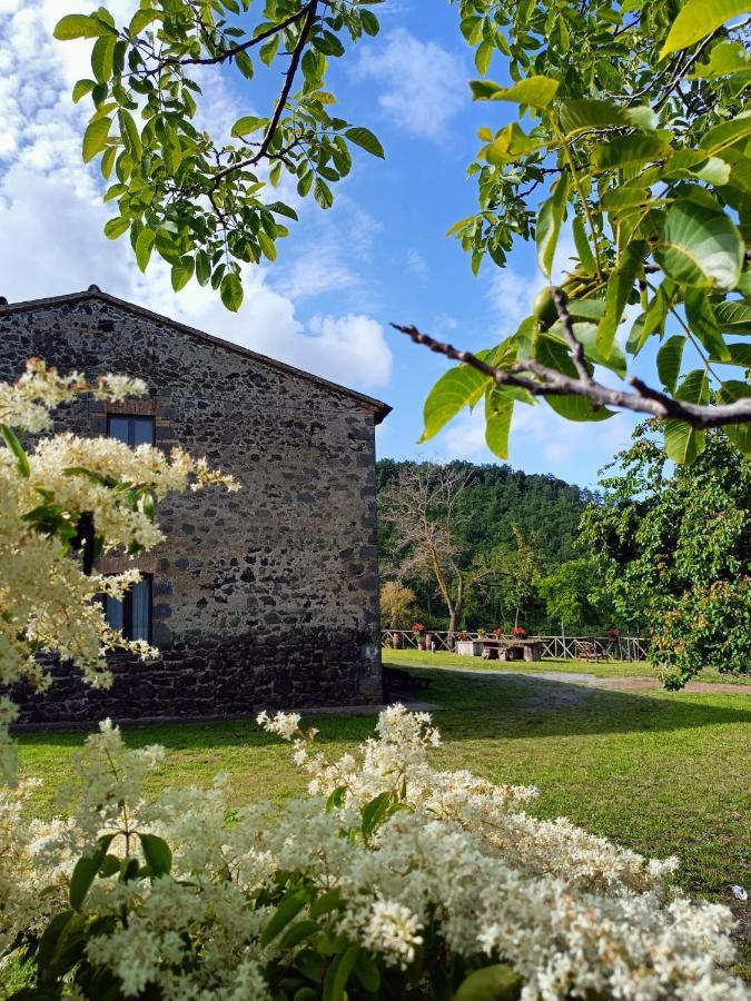 Meridiano 12 Bolsena Eksteriør billede
